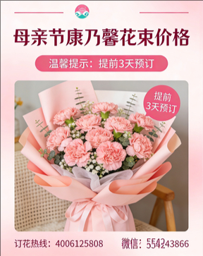 遵义新蒲新区花店母亲节康乃馨花束