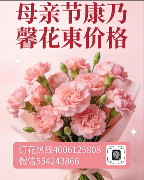 遵义新蒲新区花店母亲节康乃馨花束